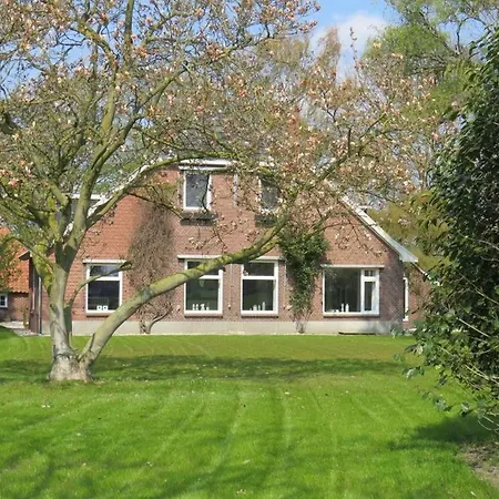 Borgersteeg 4*