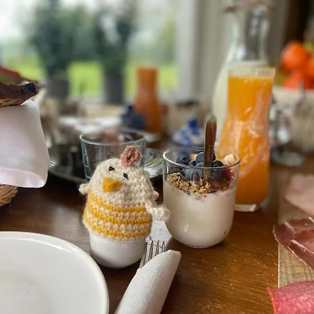 Borgersteeg Bed & Breakfast Neede