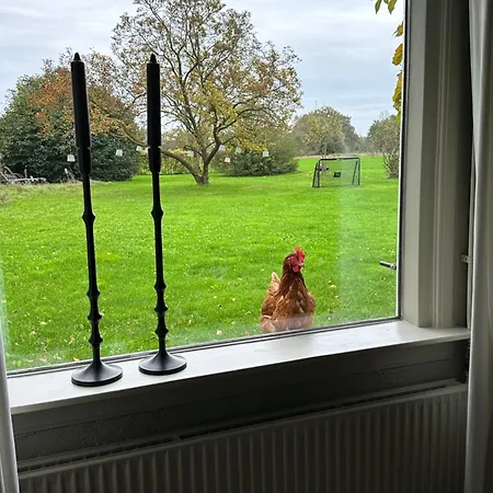 Borgersteeg