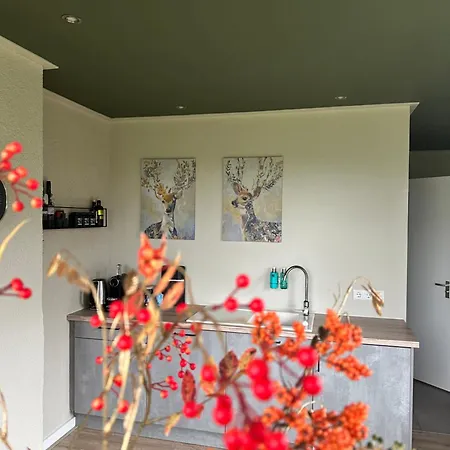 Bed & Breakfast Borgersteeg 4*