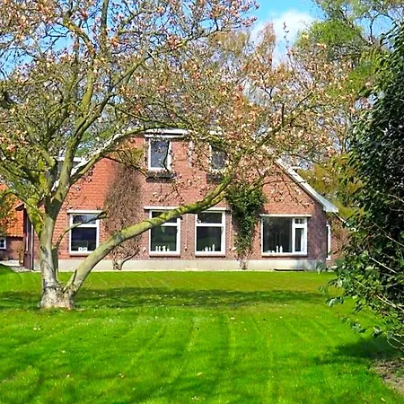 B&B Borgersteeg 4*