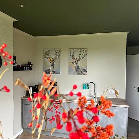 B&B Borgersteeg Neede