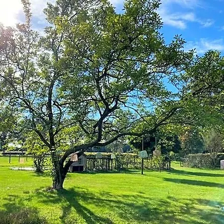 Borgersteeg B&B
