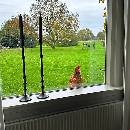B&B Borgersteeg Neede