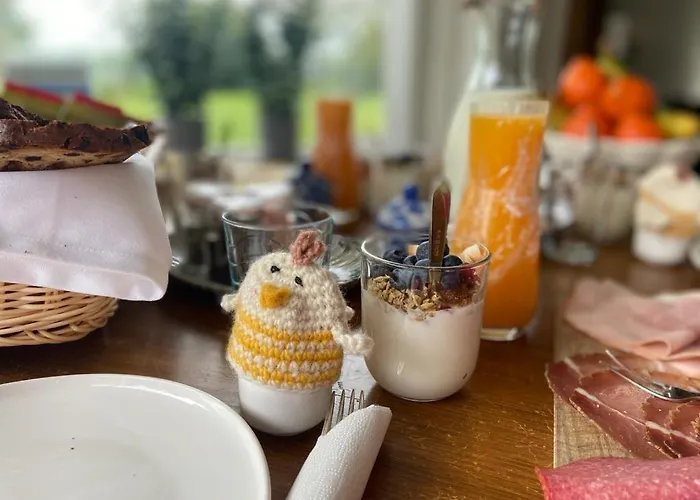 Borgersteeg Bed & Breakfast Neede