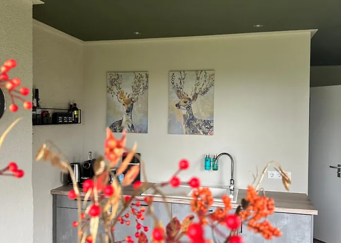 Bed & Breakfast Borgersteeg 4*