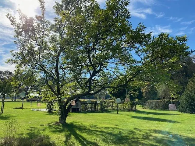 Borgersteeg فندق مبيت وإفطار